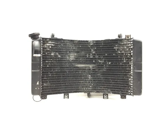 Radiator Cooling Front Fluid with Fan 2001 Suzuki Hayabusa Busa GSX1300R 3011A x