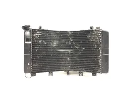 Radiator Cooling Front Fluid with Fan 2001 Suzuki Hayabusa Busa GSX1300R 3011A x