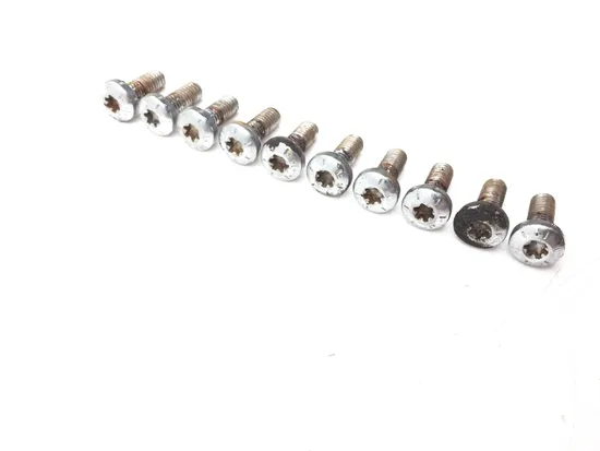 Front Brake Rotor Bolts 2006 Harley-Davidson Road King EFI FLHRI 3014A