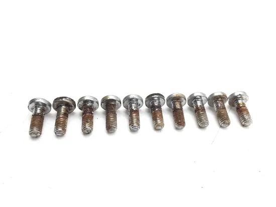 Front Brake Rotor Bolts 2006 Harley-Davidson Road King EFI FLHRI 3014A