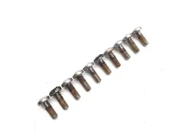 Front Brake Rotor Bolts 2006 Harley-Davidson Road King EFI FLHRI 3014A