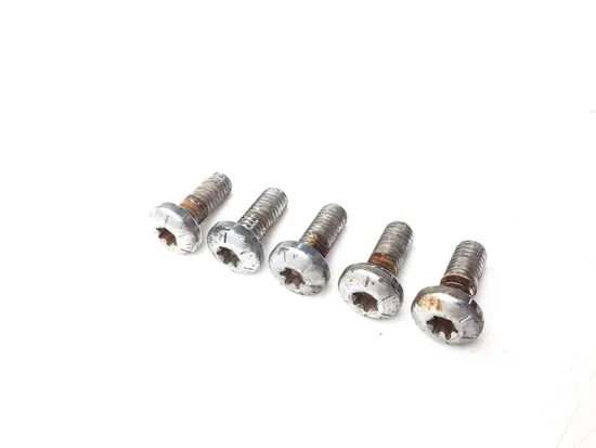 Rear Brake Rotor Disc Bolts 2006 Harley-Davidson Road King EFI FLHRI 3014A