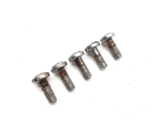 Rear Brake Rotor Disc Bolts 2006 Harley-Davidson Road King EFI FLHRI 3014A