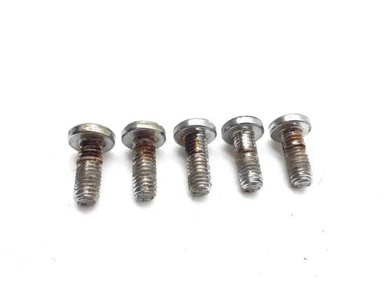 Rear Brake Rotor Disc Bolts 2006 Harley-Davidson Road King EFI FLHRI 3014A