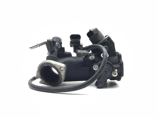 Throttle Body 2006 Harley-Davidson Softail Deuce EFI FXSTDI 3013A