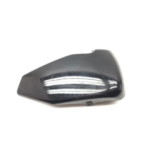 Right Side Cover 2009 Harley-Davidson Sportster 1200 Low XL1200L 3016A x 3