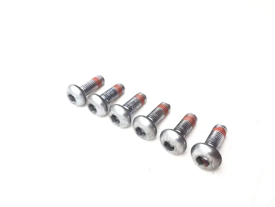 Front Brake Rotor Bolts 2011 Honda Fury VT1300CX 3022A