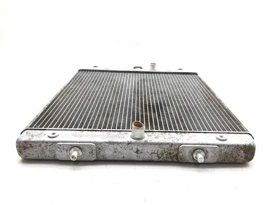 Engine Radiator Cooling 2016 Yamaha YXZ1000R 3010A x