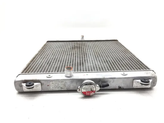 Engine Radiator Cooling 2016 Yamaha YXZ1000R 3010A x