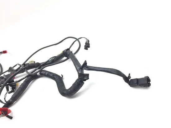 Main Engine Wiring Harness 2014 Honda XR650L 3005A