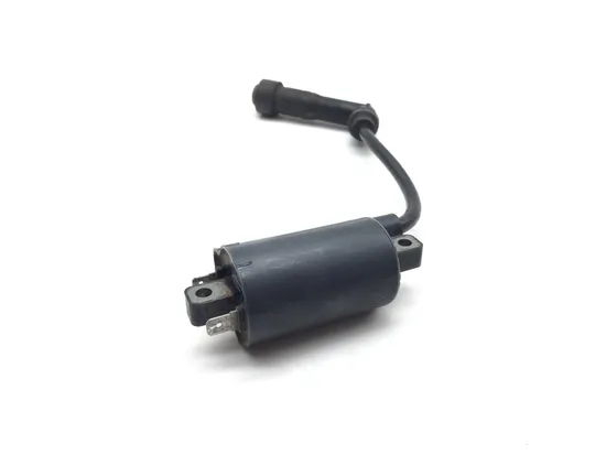 Ignition Coil 2011 Kawasaki KLR650 3008A