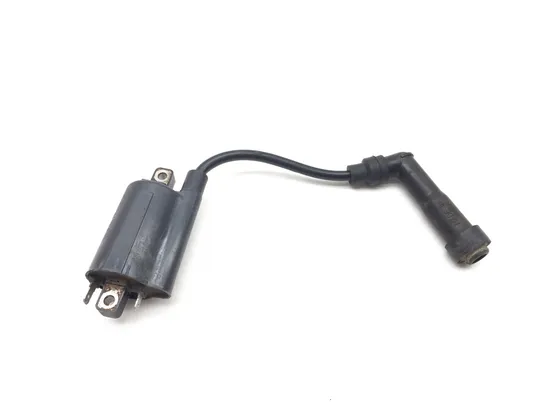 Ignition Coil 2011 Kawasaki KLR650 3008A