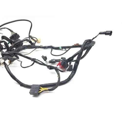 Main Engine Wiring Harness 2011 Kawasaki KLR650 3008A 9