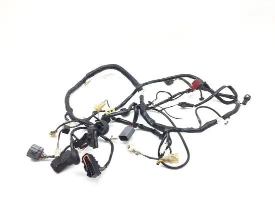 Main Engine Wiring Harness 2011 Kawasaki KLR650 3008A
