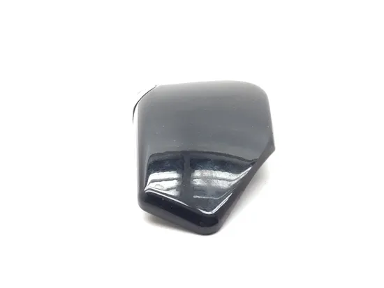 Right Side Cover 2011 Harley-Davidson Sportster 1200 Nightster XL1200N 2927A