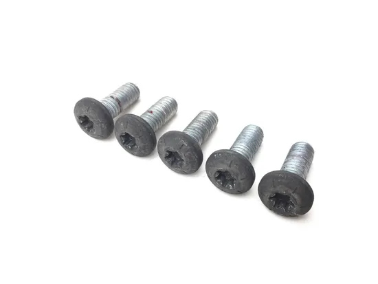 Rear Brake Rotor Disc Bolts 2000 Harley Electra Glide Police EFI FLHTPI 3004A