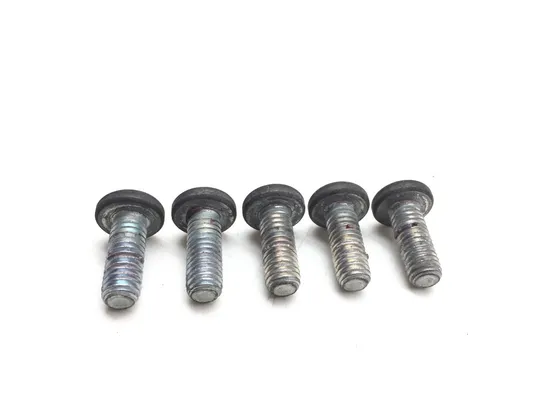 Rear Brake Rotor Disc Bolts 2000 Harley Electra Glide Police EFI FLHTPI 3004A