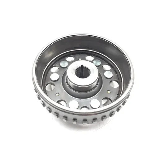 Engine Flywheel W Starter Clutch 2015 Polaris Ranger ETX 3024A 11