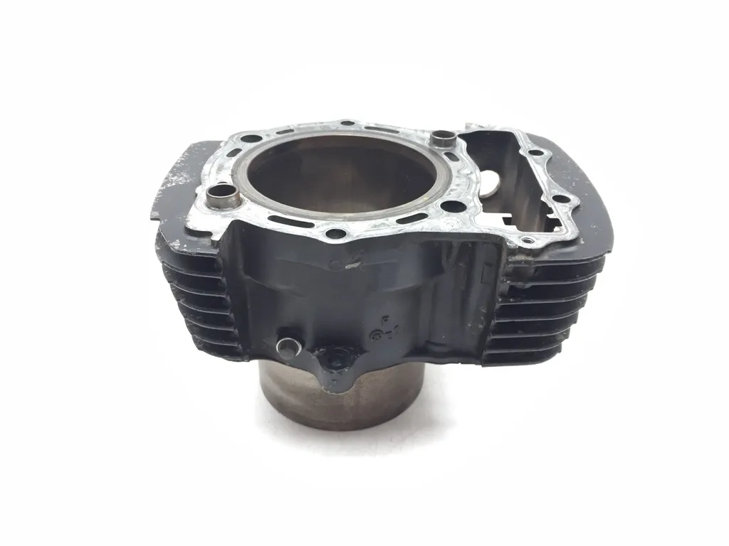 Engine Cylinder Jug Front 2000 Kawasaki Vulcan 1500 VN1500L Nomad FI 3007A x