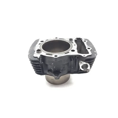 Engine Cylinder Jug Rear 2000 Kawasaki Vulcan 1500 VN1500L Nomad FI 3007A x 3