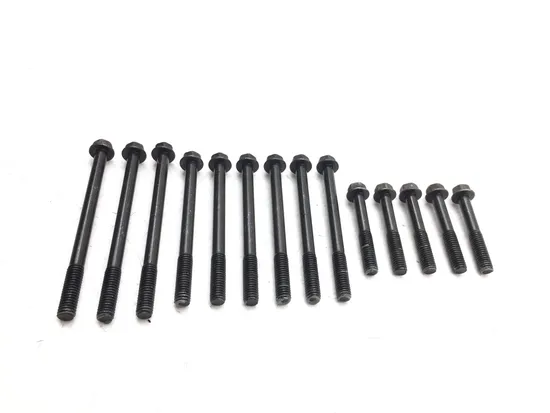 Engine Left Right Center Case Bolts 2000 Kawasaki Vulcan 1500 Nomad 3007A