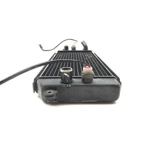 Engine Radiator Cooling 2000 Suzuki Marauder 800 VZ800 3029A 9