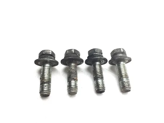 Shock Bolts 2005 Harley-Davidson Electra Glide EFI FLHTI 2939A