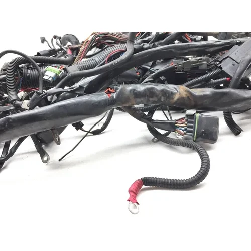 Main Engine Wiring Harness 2005 Harley-Davidson Electra Glide EFI 2939A PARTS 9
