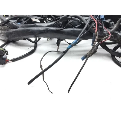 Main Engine Wiring Harness 2005 Harley-Davidson Electra Glide EFI 2939A PARTS 11