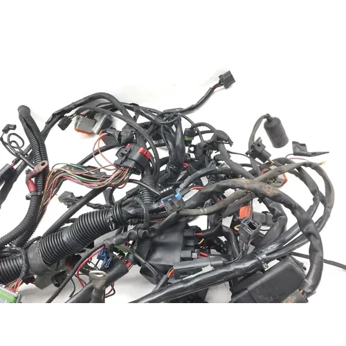 Main Engine Wiring Harness 2005 Harley-Davidson Electra Glide EFI 2939A PARTS 7