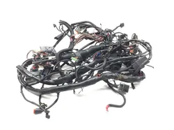 Main Engine Wiring Harness 2005 Harley-Davidson Electra Glide EFI 2939A PARTS