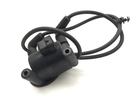 Ignition Coil Set 2012 Harley-Davidson Road King Police FLHP 2966A