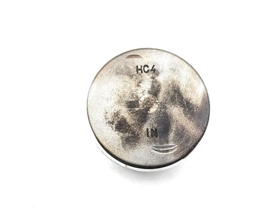 Engine Cylinder Jug W Piston 1989 Honda FourTrax 300 TRX300 2x4 3039A