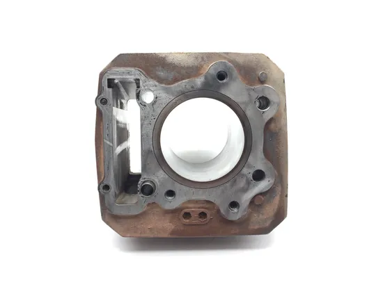 Engine Cylinder Jug W Piston 1989 Honda FourTrax 300 TRX300 2x4 3039A