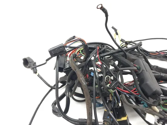 Main Engine Wiring Harness 1995 Electra Glide Ultra Classic EFI FLHTCUI 3028A