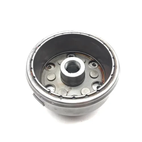 Engine Flywheel W Starter Clutch 1992 Honda FourTrax 300 TRX300 2x4 3040A 15