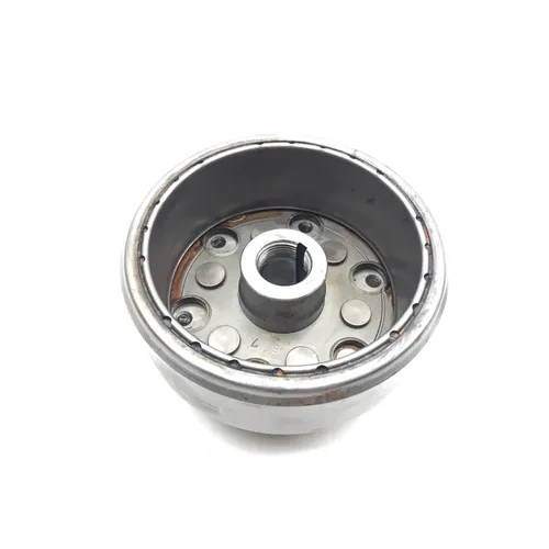 Engine Flywheel W Starter Clutch 1992 Honda FourTrax 300 TRX300 2x4 3040A 13