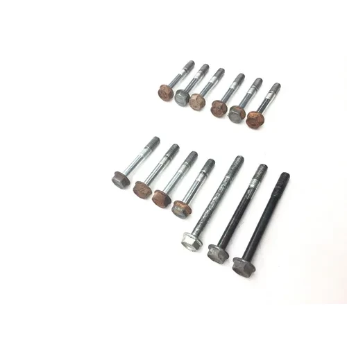 Engine Center Cases Case Bolts 2002 Honda Recon 250 TRX250TM 2x4 3042A 6