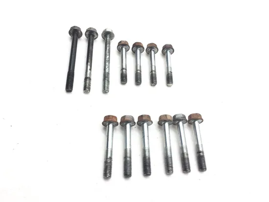 Engine Center Cases Case Bolts 2002 Honda Recon 250 TRX250TM 2x4 3042A