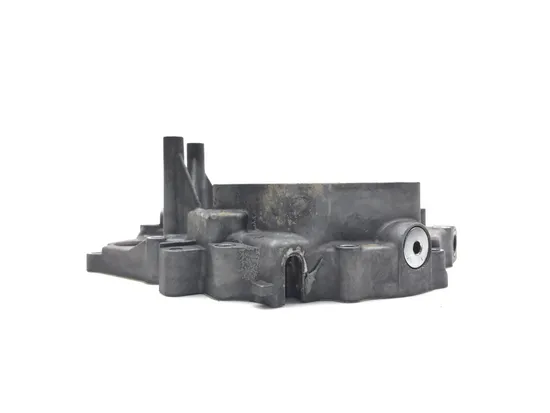 Engine Stator Generator Cover 2002 Honda Recon 250 TRX250TM 2x4 3042A