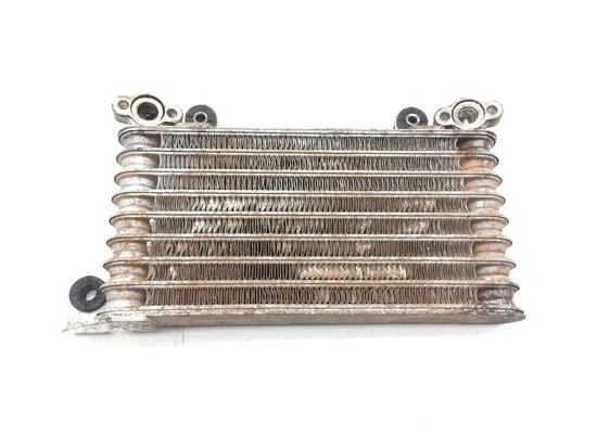Engine Oil Cooler with Lines 2004 Honda Rancher 400 TRX400FA 4x4 AT 3043A