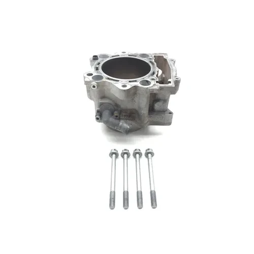 Engine Cylinder Jug 2009 Yamaha Rhino 700 YXR700F 4x4 FI 3021A PARTS 3