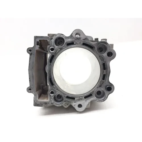 Engine Cylinder Jug 2009 Yamaha Rhino 700 YXR700F 4x4 FI 3021A PARTS 13
