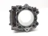Engine Cylinder Jug 2009 Yamaha Rhino 700 YXR700F 4x4 FI 3021A PARTS