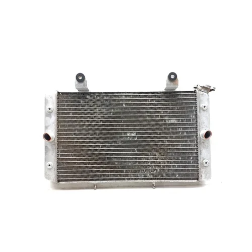 Engine Radiator Cooling 2009 Yamaha Rhino 700 YXR700F 4x4 FI 3021A x 3