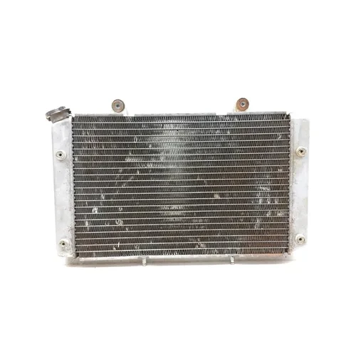 Engine Radiator Cooling 2009 Yamaha Rhino 700 YXR700F 4x4 FI 3021A x 11
