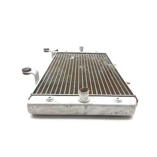 Engine Radiator Cooling 2009 Yamaha Rhino 700 YXR700F 4x4 FI 3021A x 17