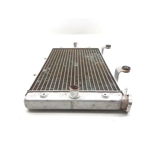 Engine Radiator Cooling 2009 Yamaha Rhino 700 YXR700F 4x4 FI 3021A x 20