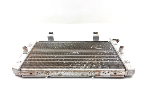 Engine Radiator Cooling 2009 Yamaha Rhino 700 YXR700F 4x4 FI 3021A x