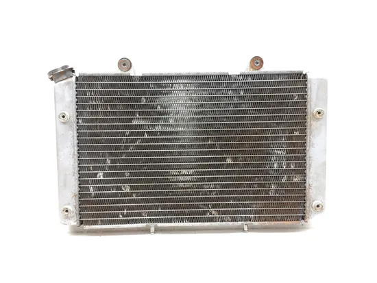 Engine Radiator Cooling 2009 Yamaha Rhino 700 YXR700F 4x4 FI 3021A x